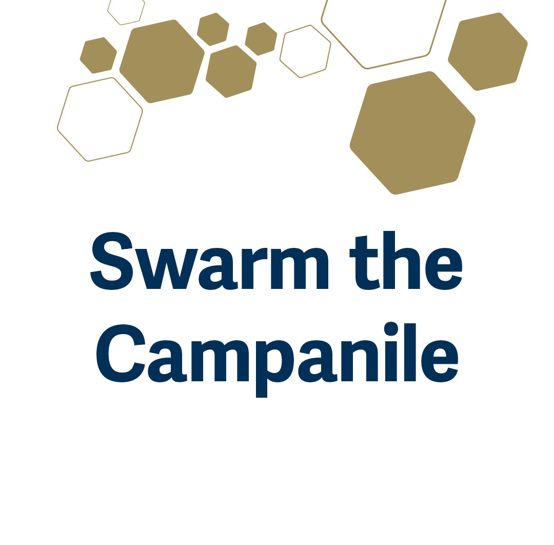 swarm the campanile